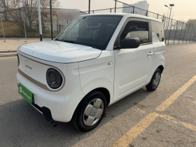 吉利银河 2023款 熊猫mini 200km 耐力熊