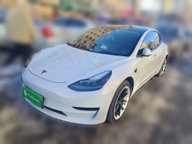 特斯拉 Model 3 2021款 标准续航后驱升级版