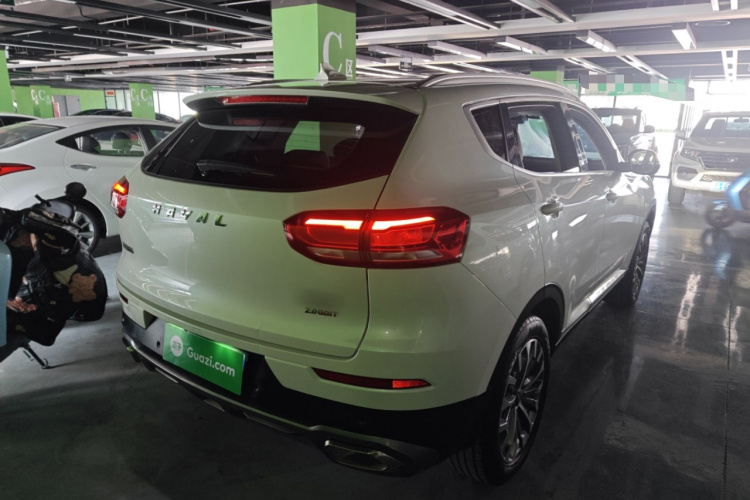 哈弗H6 2020款 2.0GDIT 自动铂金豪华版车身外观6005