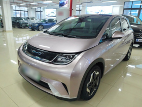 比亚迪 海豚 2021款 405km 时尚版