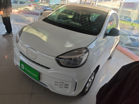 荣威 科莱威CLEVER 2022款 311km元气啵啵版