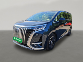 腾势D9 2024款 EV 600 四驱旗舰型