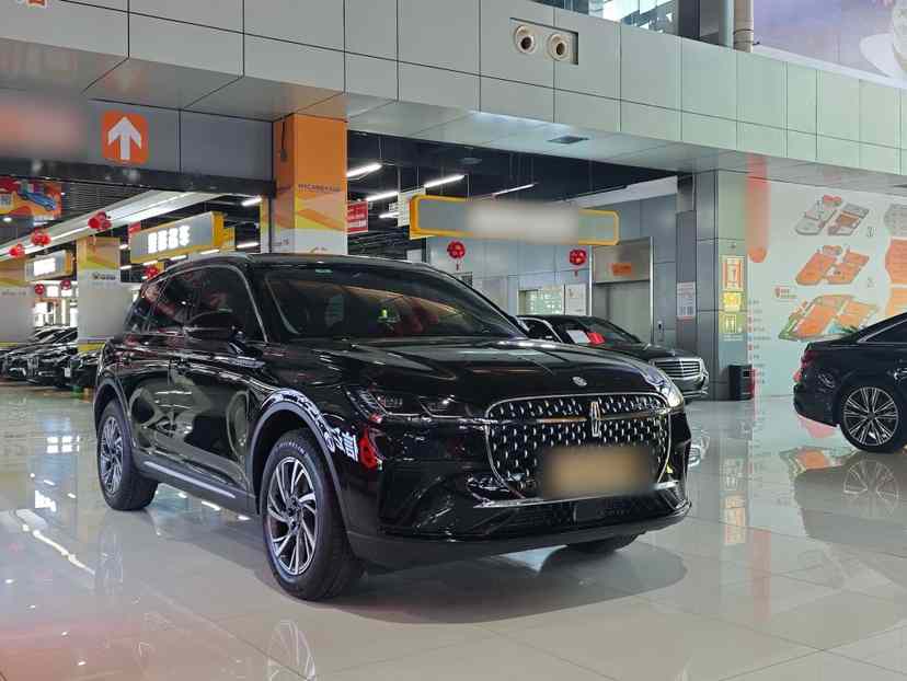 林肯 冒险家 2024款 2.0T 两驱尊享版(4)