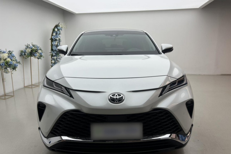 丰田 威飒 2023款 2.0L CVT两驱尊贵版车身外观6004