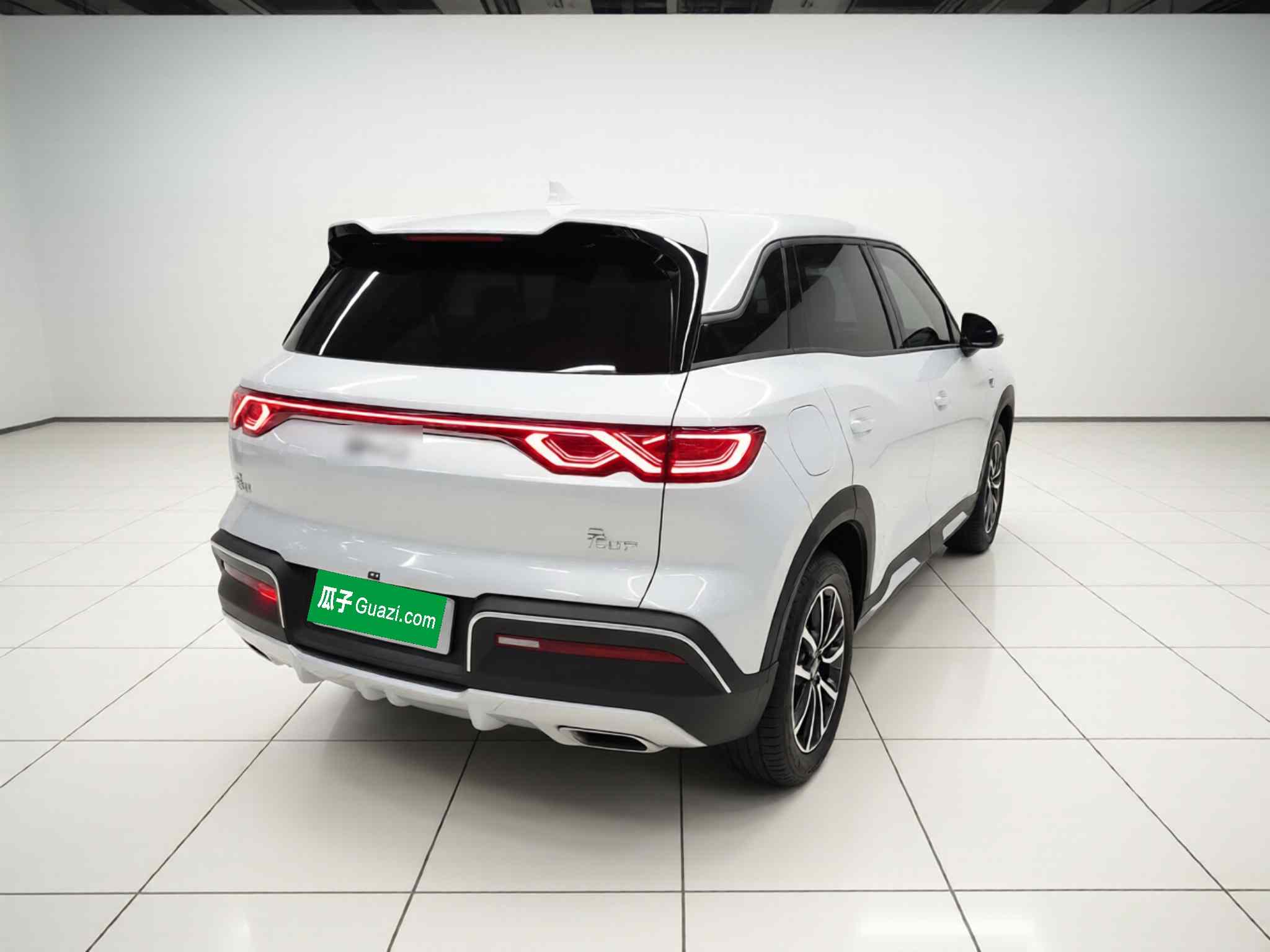 比亚迪 元UP 2024款  401KM 活力版(5)