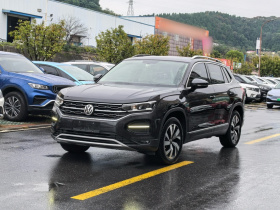 大众 探岳 2019款 330TSI 两驱豪华型 国VI