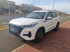 奇瑞 瑞虎8 PRO 2025款 290T 两驱豪华版