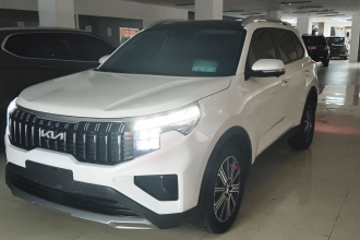 起亚 智跑 2021款 Ace 2.0L 精彩版