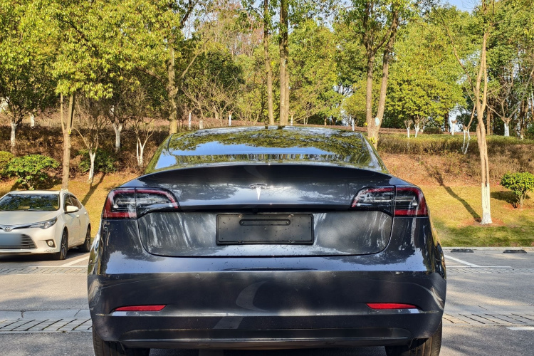 特斯拉 Model 3 2020款 长续航后轮驱动版车身外观6003