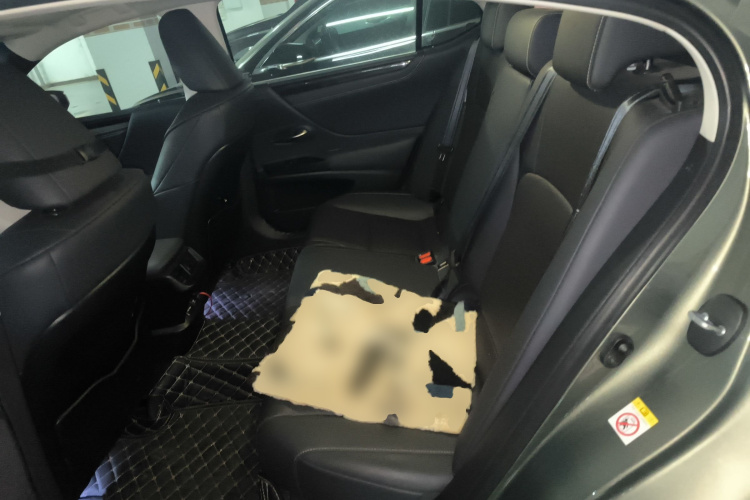 雷克萨斯ES 2018款 200 卓越版 国VI中控内饰21