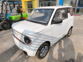 吉利银河 2024款 熊猫mini 200km 耐力熊