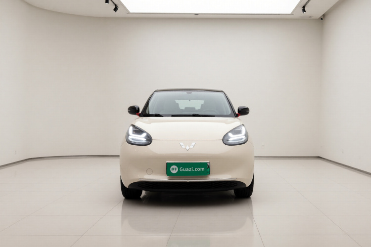 五菱汽车 五菱缤果 2025款 333km 悦享款车身外观2