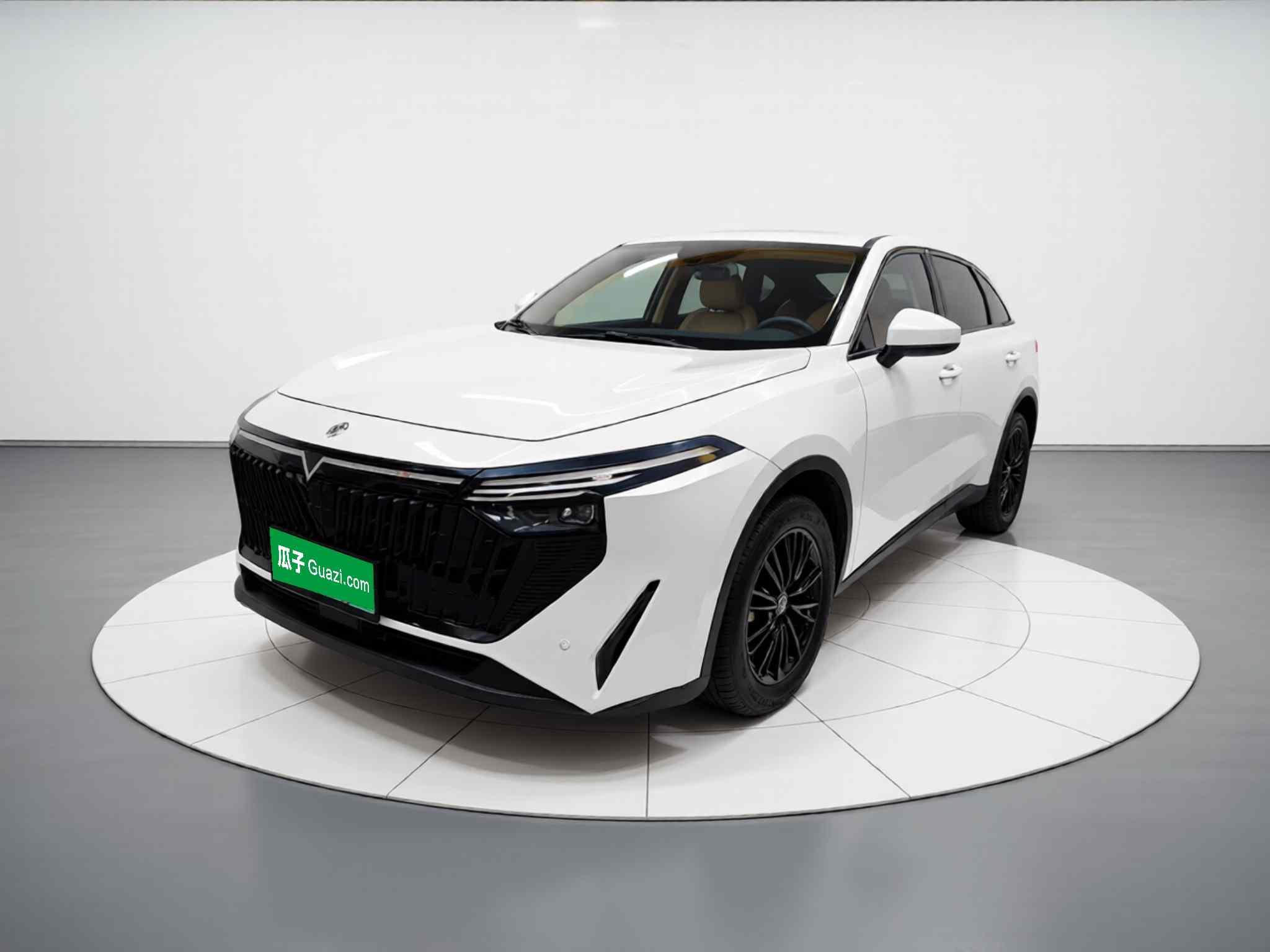 启辰大V DD-i 2023款 60km iC版(2)