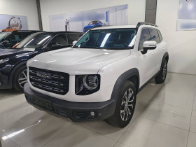 哈弗大狗 2022款 1.5T DCT两驱边牧版