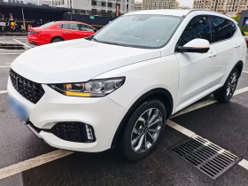 魏牌 VV6 2018款 2.0T 两驱超豪型 国V