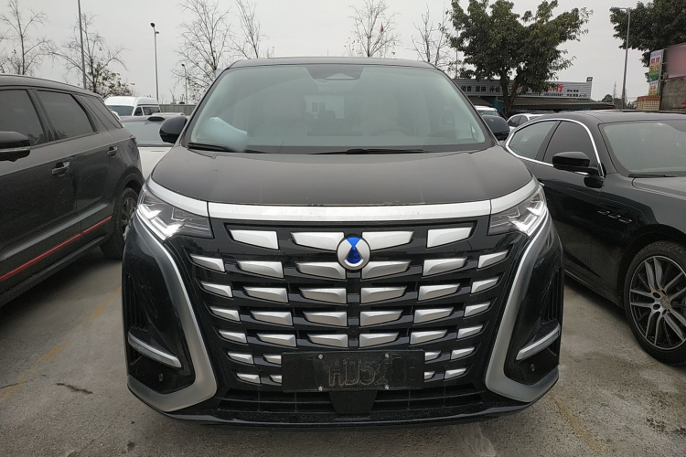 腾势D9 2024款 DM-i 1050 尊享型车身外观6001