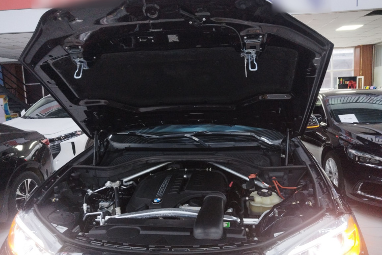 宝马X5(进口) 2018款 xDrive35i 典雅型局部细节24