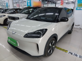 五菱汽车 五菱缤果PLUS 2024款 330km 五座版