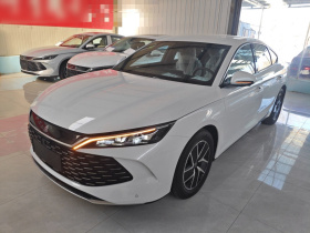 比亚迪 秦L 2024款 DM-i 80KM超越型