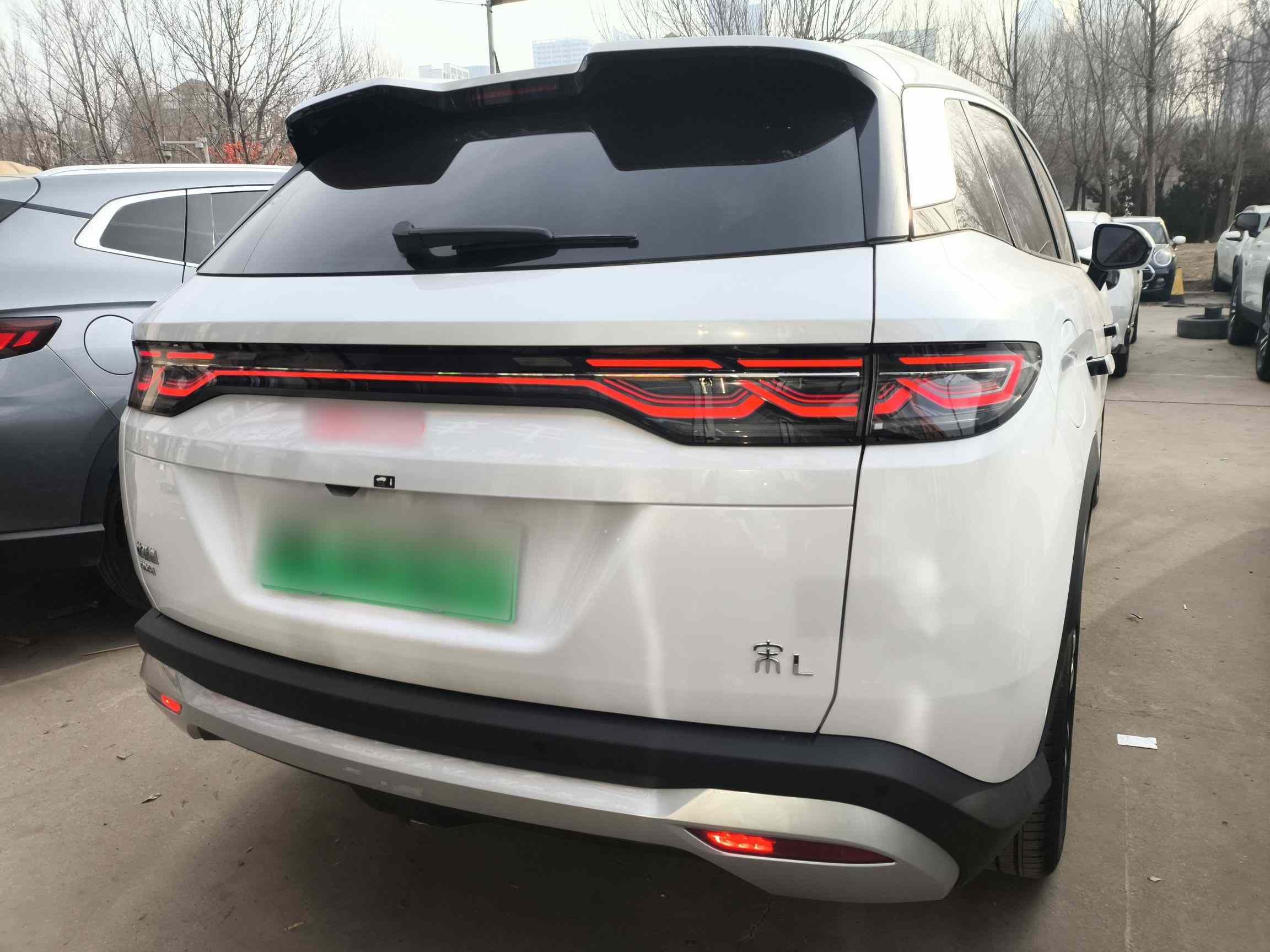 比亚迪 宋L DM-i 2024款 112km 领先型(4)