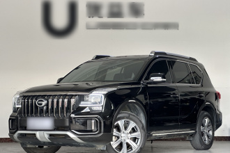 广汽传祺 传祺GS8 2020款 GS8S 390T 两驱豪华版