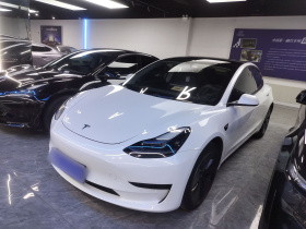 特斯拉 Model 3 2022款 后轮驱动版