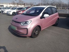 思皓 花仙子 2021款 集美版 302km 时尚型