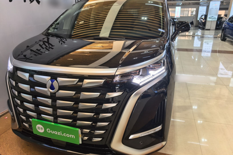 腾势D9 2024款 DM-i 1050 尊享型车身外观6001