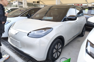 五菱汽车 五菱缤果 2023款 333km 灵犀互联+款