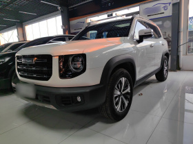 哈弗大狗 2022款 1.5T DCT两驱拉布拉多版