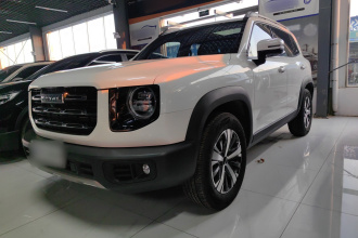 哈弗大狗 2022款 1.5T DCT两驱拉布拉多版