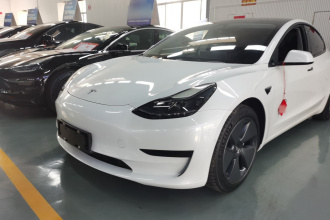 特斯拉 Model 3 2021款 改款 标准续航后驱升级版 3D1