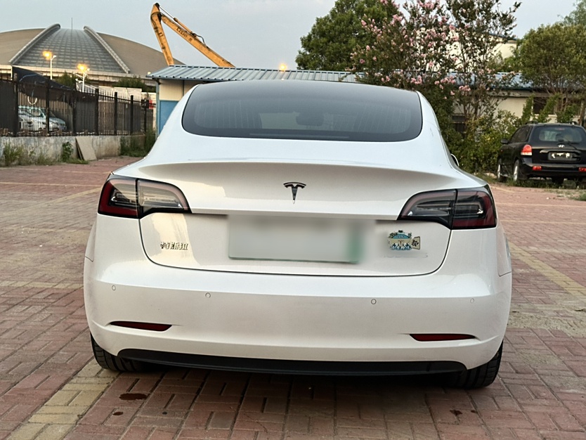 特斯拉 Model 3 2020款 标准续航后驱升级版