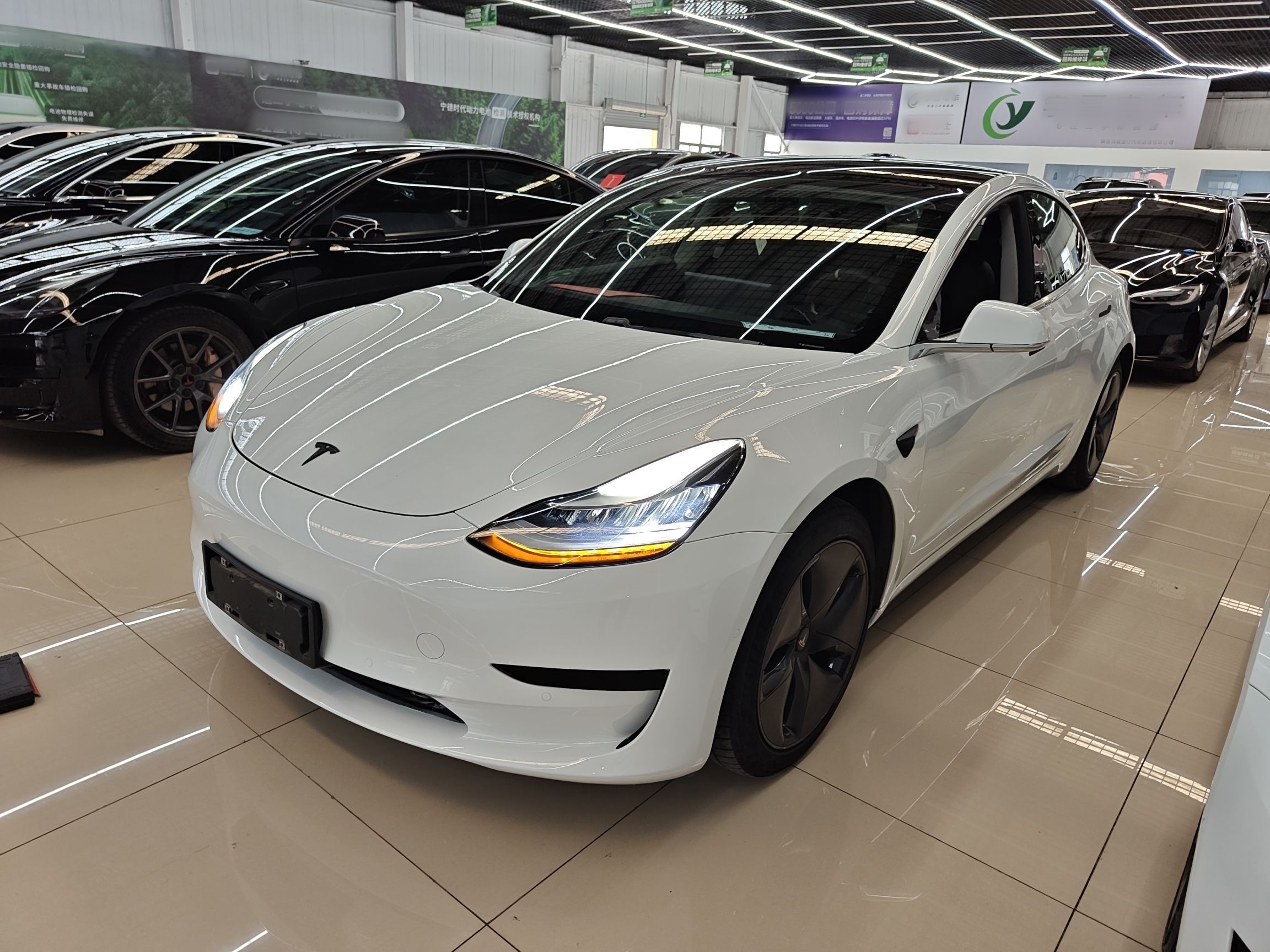 特斯拉 Model 3 2020款 标准续航后驱升级版