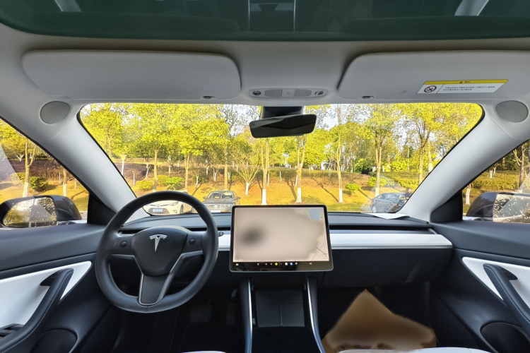 特斯拉 Model 3 2020款 长续航后轮驱动版中控内饰7002