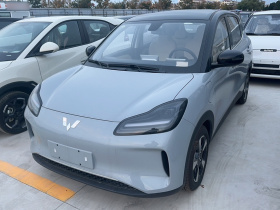 五菱汽车 五菱缤果PLUS 2024款 401km 五座版