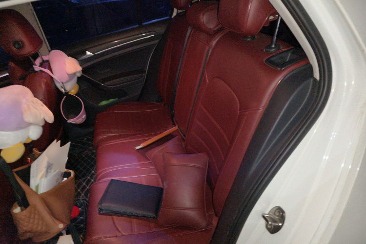 大众 高尔夫 2020款 280TSI DSG豪华型中控内饰21