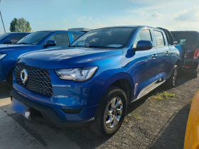 长城 炮 2021款 2.0T商用版手动柴油两驱精英型长箱GW4D20M