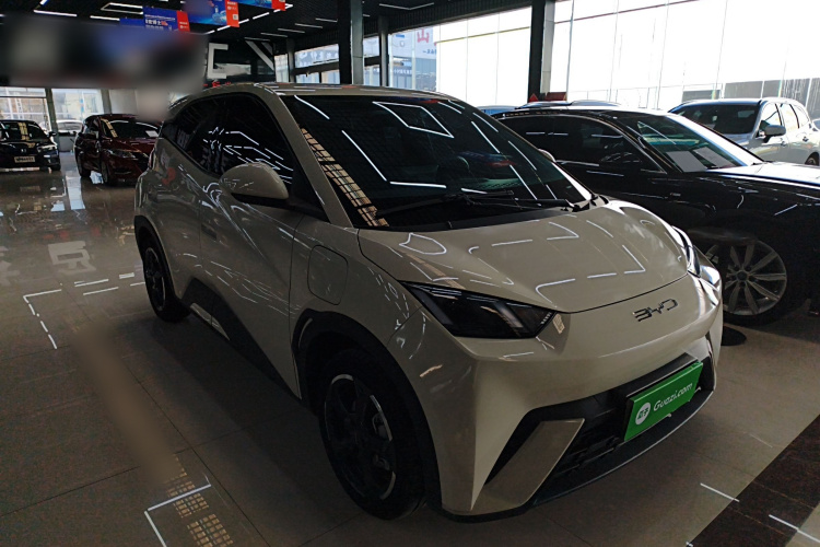 比亚迪 海鸥 2023款 自由版车身外观6002