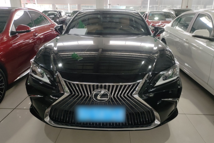 雷克萨斯ES 2020款 200 卓越版车身外观6001