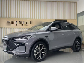 比亚迪 唐新能源 2025款 DM-i 115KM 旗舰型