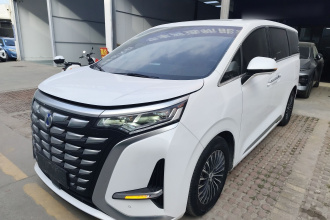 腾势D9 2024款 DM-i 1050 尊享型