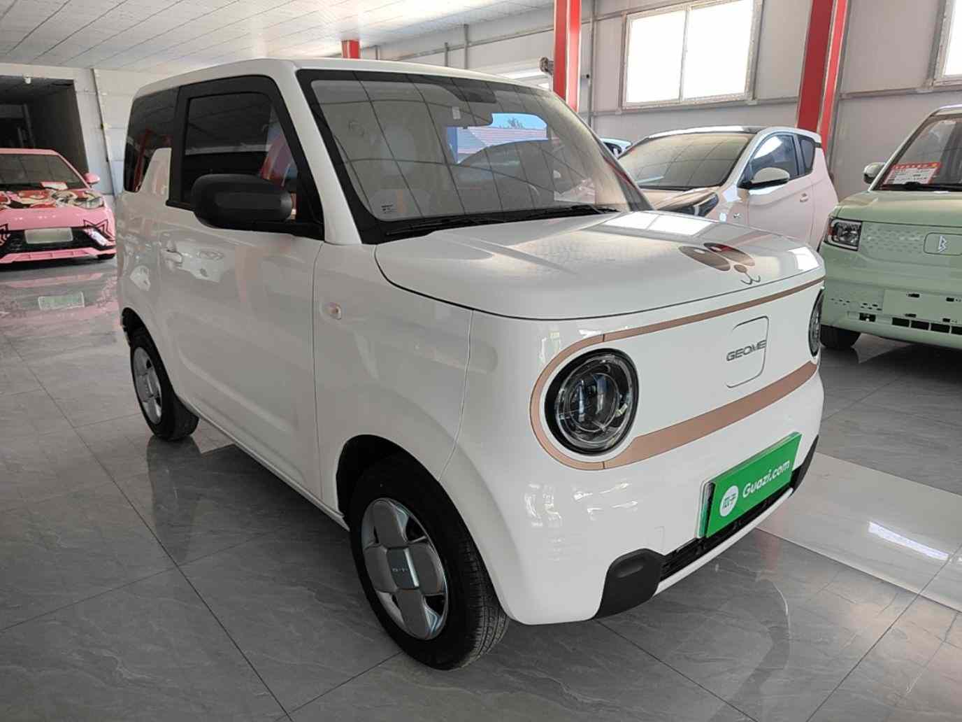 吉利银河 2024款 熊猫mini 200km 耐力熊(5)