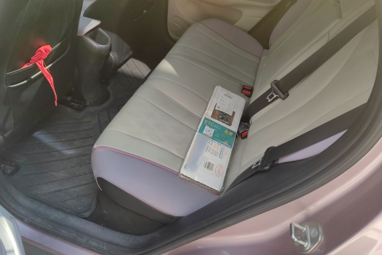 比亚迪 海豚 2023款 420km 时尚版中控内饰7004