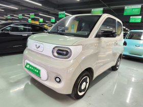 五菱汽车 宏光MINIEV 2024款 第三代 215km 青春版