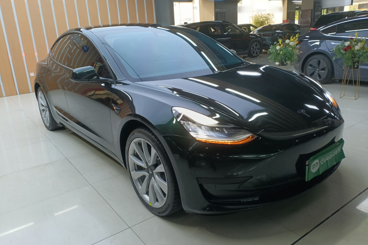特斯拉 Model 3 2019款 标准续航后驱升级版车身外观6002