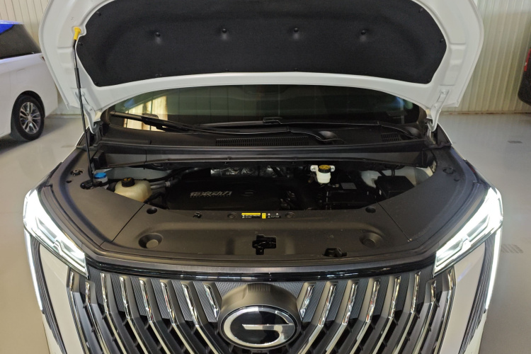 广汽传祺 传祺M8 2024款 大师系列 400T 尊贵版局部细节24