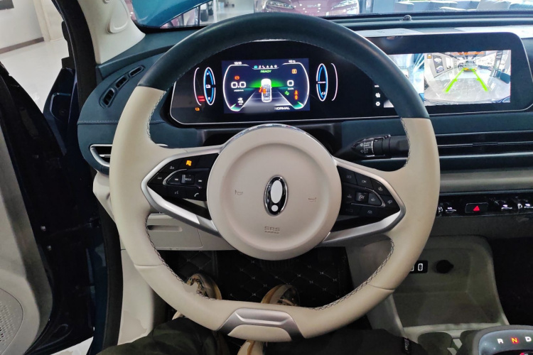 欧拉好猫 2022款 莫兰迪版 400km标准续航 两周年轻享型 磷酸铁锂局部细节13