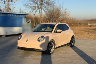 欧拉好猫 2023款 501km长续航 豪华型 三元锂