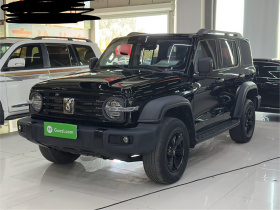 坦克300 2021款 越野版 2.0T 征服者